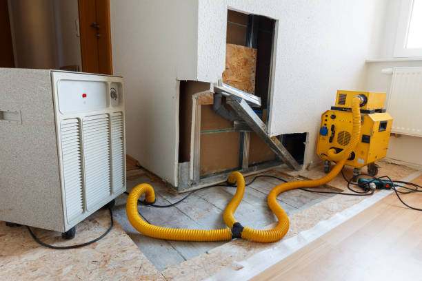 Best Emergency Mold Remediation  in USA